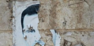 الأسئلة الضرورية سورياً بشار الأسد