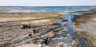 الجفاف والحرب.. تحديات شُحّ المياه المنزلية (أهمية تبنّي نهج التربية المائية- حالة سورية)