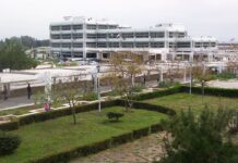 الجنس مقابل النجاح في جامعة تشرين