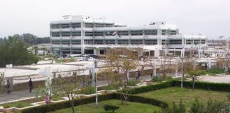 الجنس مقابل النجاح في جامعة تشرين