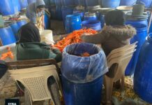 اقتصاد يبتلع النساء: السوريات في تركيا تحت قبضة العنف المالي