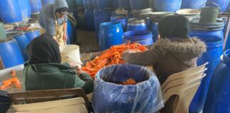 اقتصاد يبتلع النساء: السوريات في تركيا تحت قبضة العنف المالي